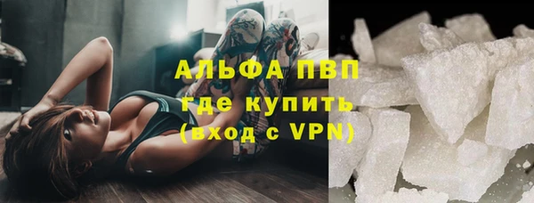 молекула духа Богданович