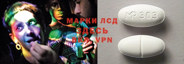 молекула духа Богданович