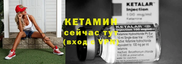 молекула духа Богданович