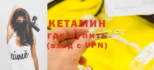 молекула духа Богданович
