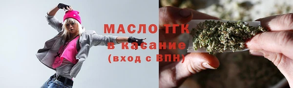 молекула духа Богданович
