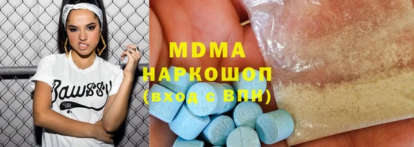 молекула духа Богданович