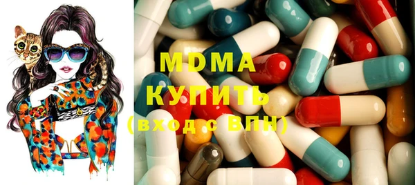 молекула духа Богданович