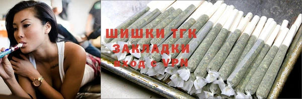молекула духа Богданович