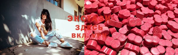 молекула духа Богданович