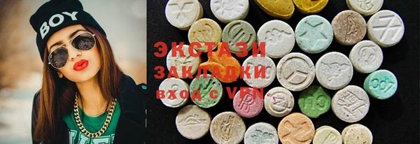 молекула духа Богданович