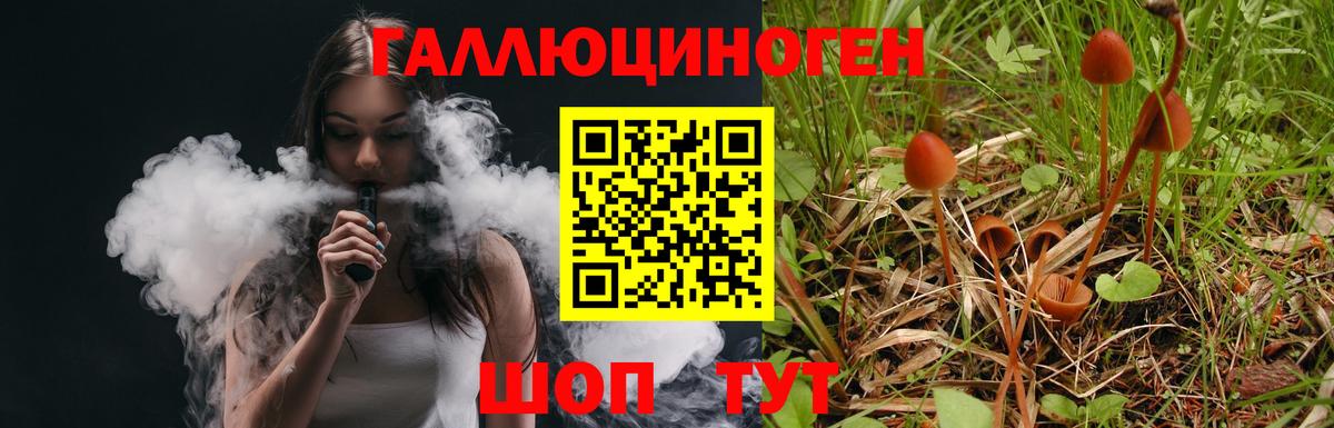 Галлюциногенные грибы мицелий Воскресенск