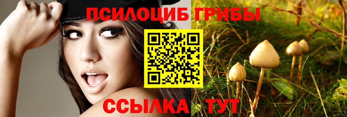 цена   Вход с VPN  Воскресенск  Галлюциногенные грибы Magic Shrooms 
